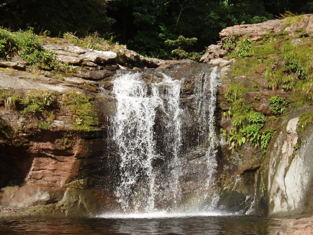 National Park Amboró