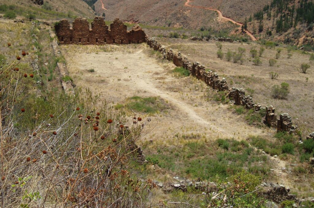 Incallajta, Totora