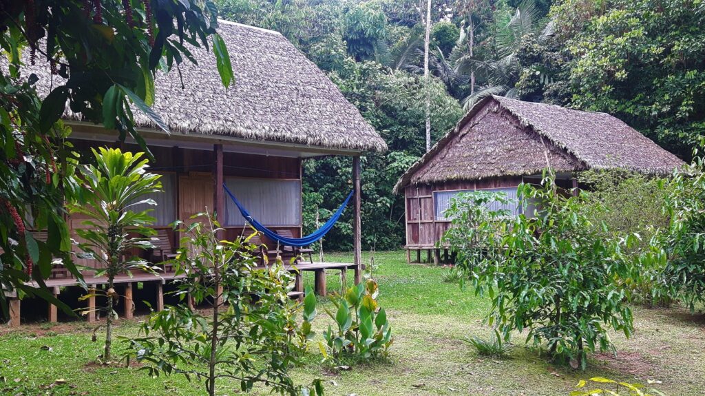 National Park Madidi