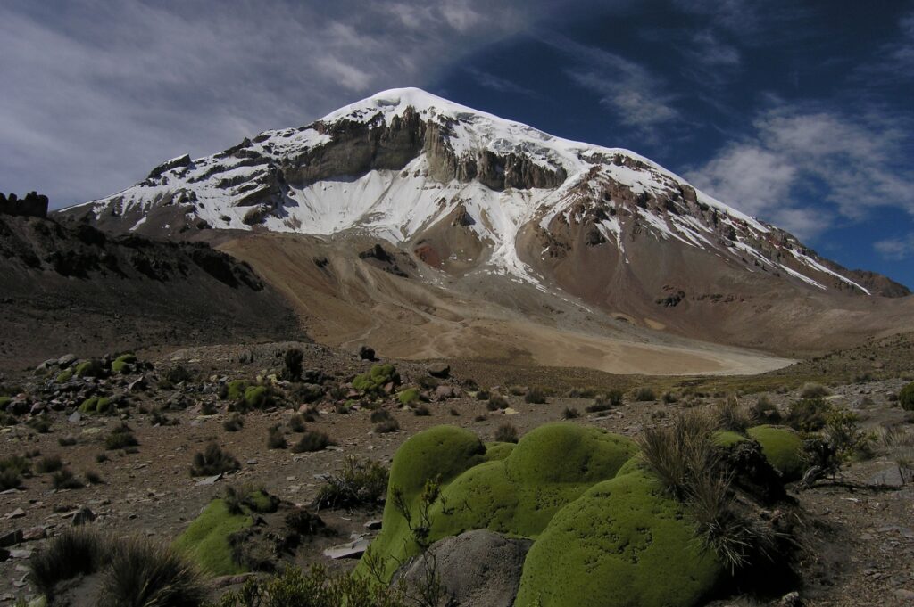 Sajama