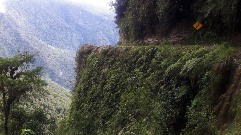 The Yungas