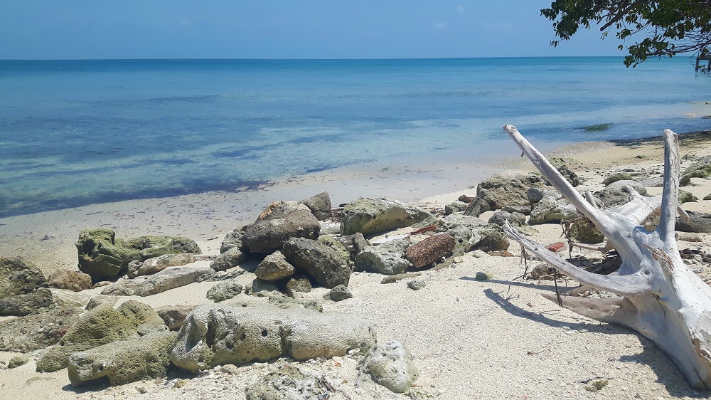 Caribbean Sea