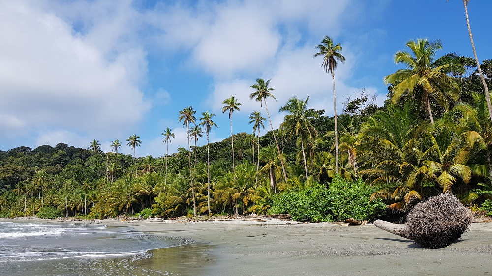 Pacific Coastline