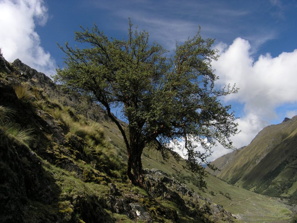 Lares-Trek
