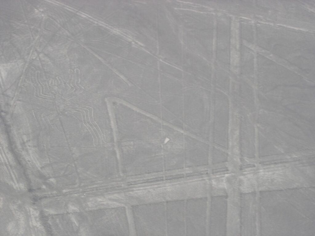Nazca 3